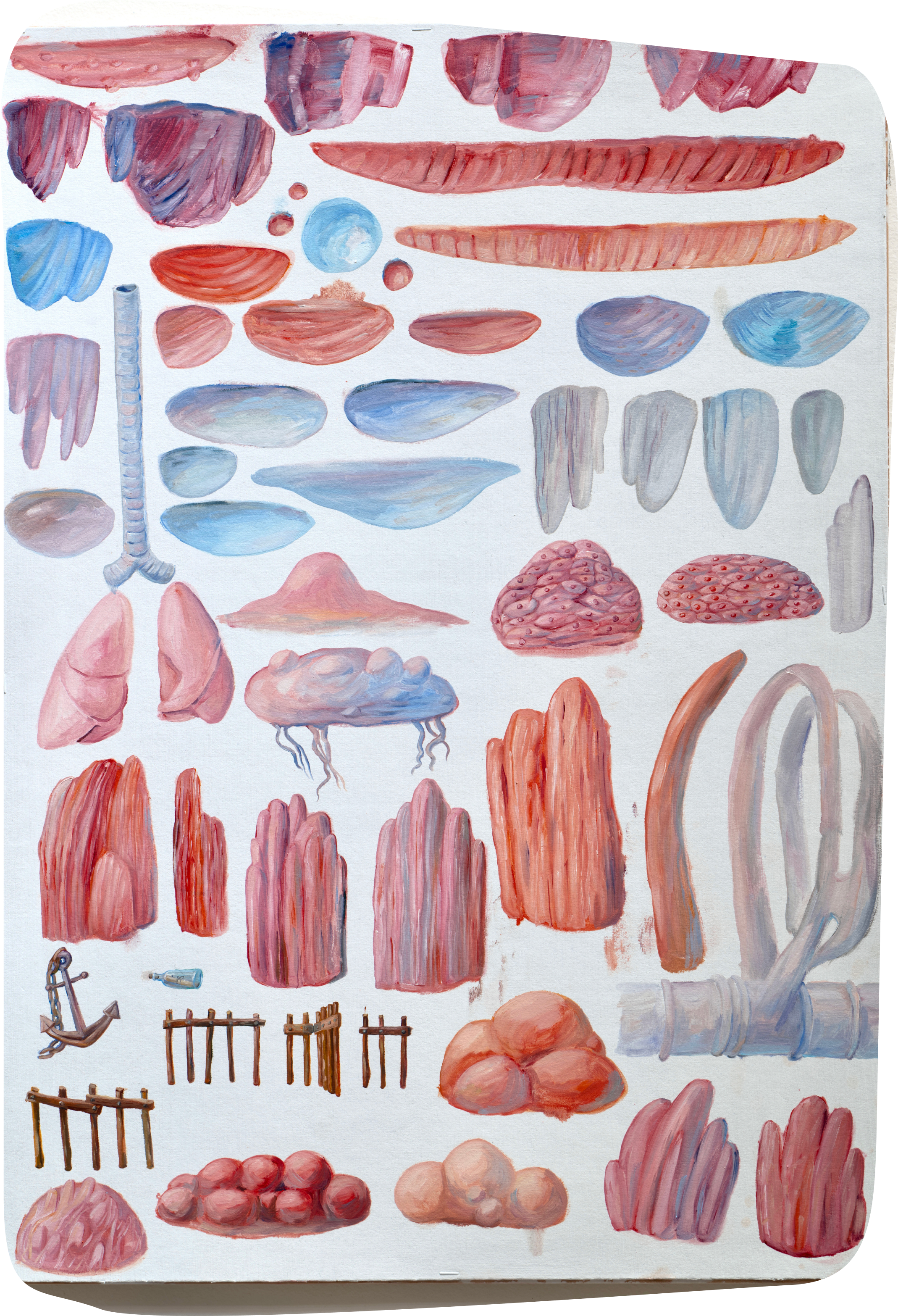 Ilustrace těla 1