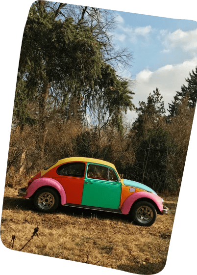 Skutečné barevné auto Brouk