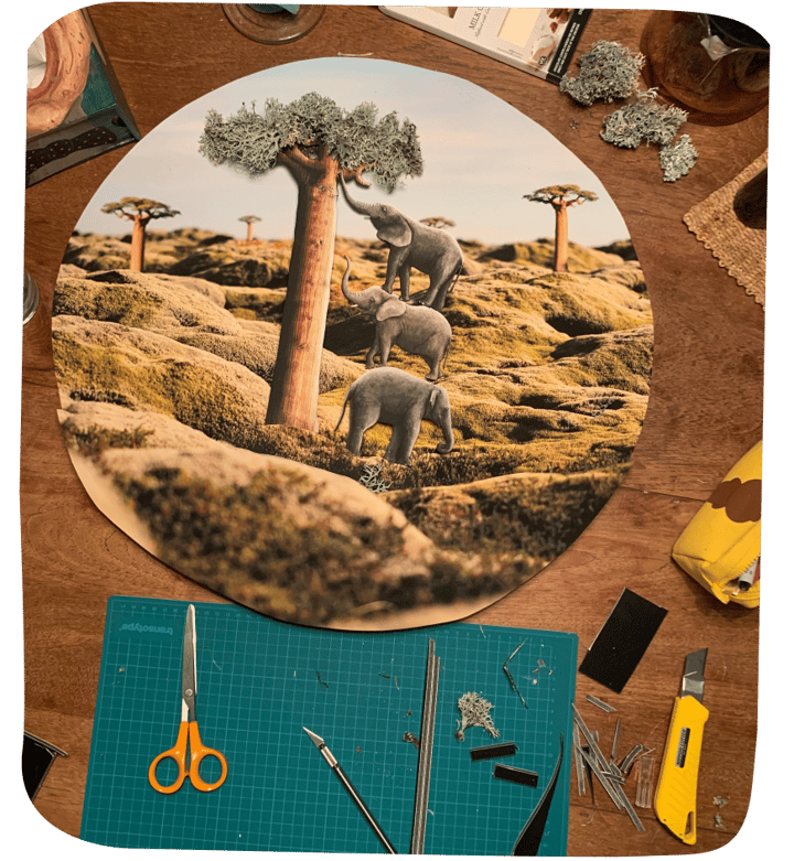 Sloni s baobabem – diorama