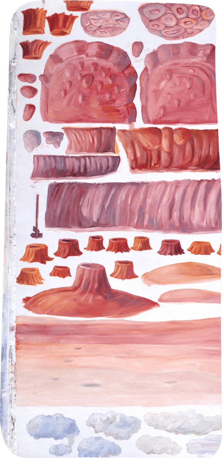 Ilustrace těla 2